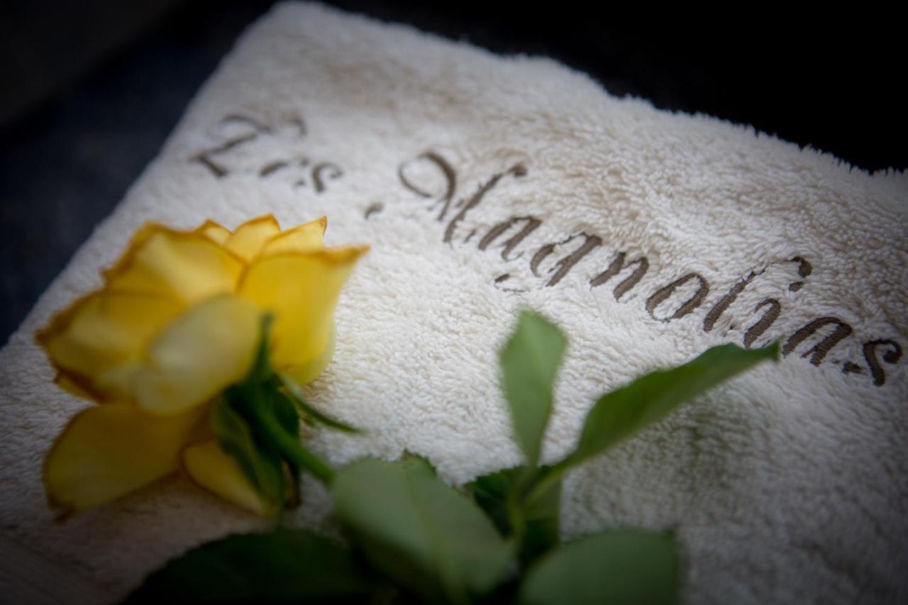 Les Magnolias Holiday Homes Lalinde 외부 사진